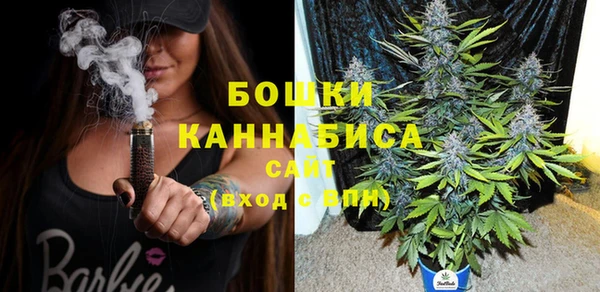 гидра Осташков