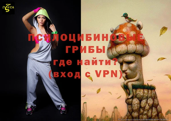 герыч Осинники
