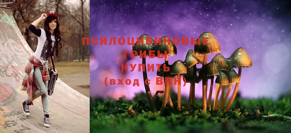 гидра Осташков