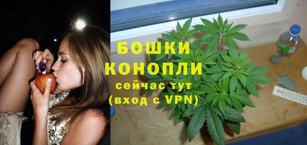 гидра Осташков