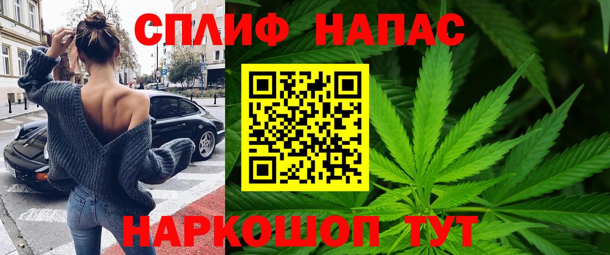 Псилоцибиновые грибы Вольск